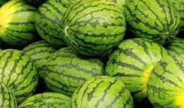 吃瓜网官网,带你领略网络娱乐资讯的盛宴